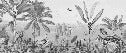 Black and white tropical mirage wallpaper