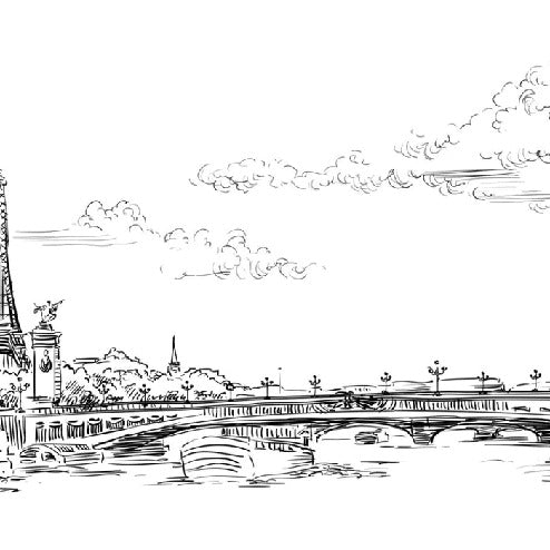 Papier peint pont Alexandre Paris, mural concept, tendance