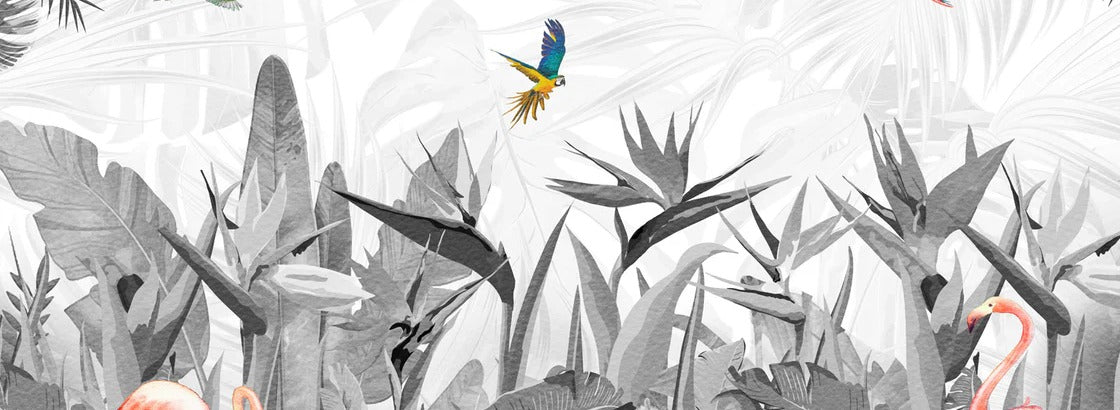 Papier peint noir et blanc oiseau du paradis