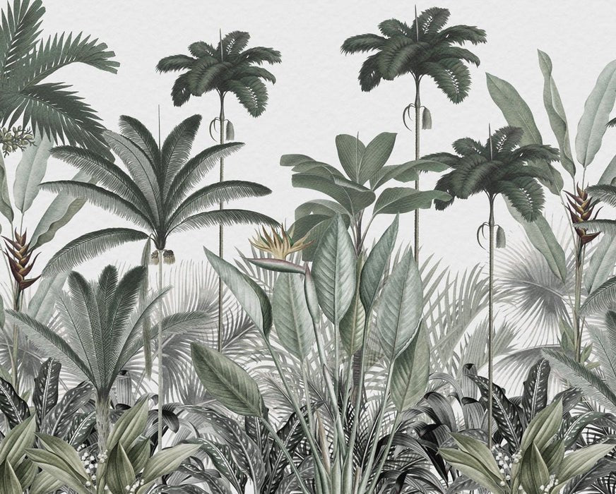 Papier peint panoramique jungle tree, XXL, tendance