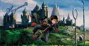 Papier peint panoramique Harry Potter match de quidditch peinture