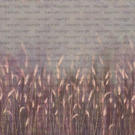 Papier peint panoramique herbes sauvages rose