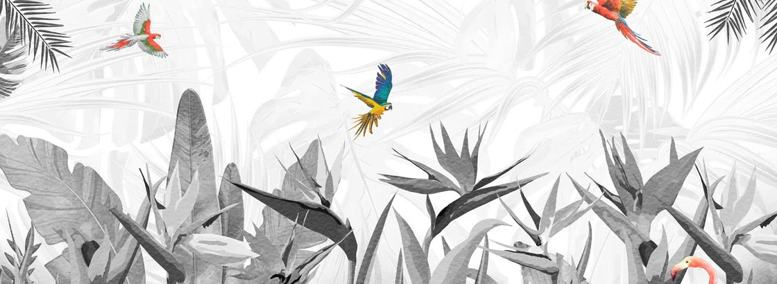 Papier peint noir et blanc oiseau du paradis