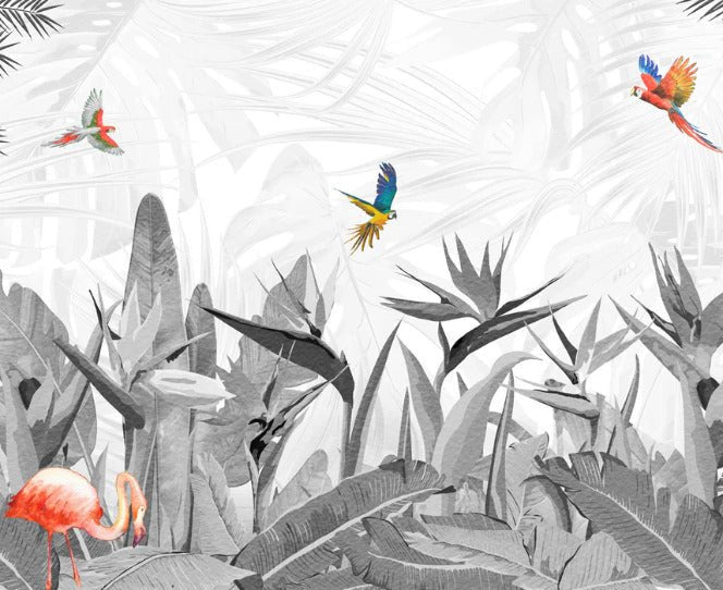 Papier peint noir et blanc oiseau du paradis