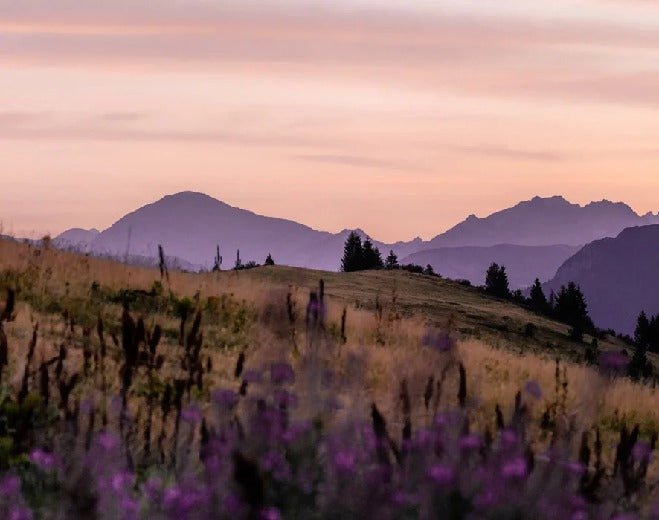 Papier peint restaurant massif du Giffre, XXL, tendance