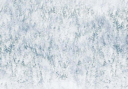 Alpine design misty forest wallpaper