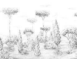 Papier peint panoramique forêt antique