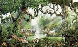 Papier peint enfant jungle secrète