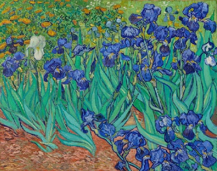 Papier peint fleur Iris