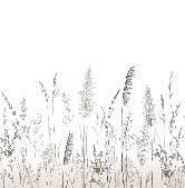 Papier peint poétique pampa