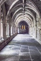 Papier peint Trompe l’œil alcôve cathédrale Parisienne, XXL, tendance