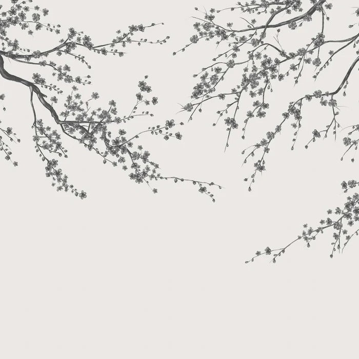 Papier peint panoramique fleur Sakura noir et blanc