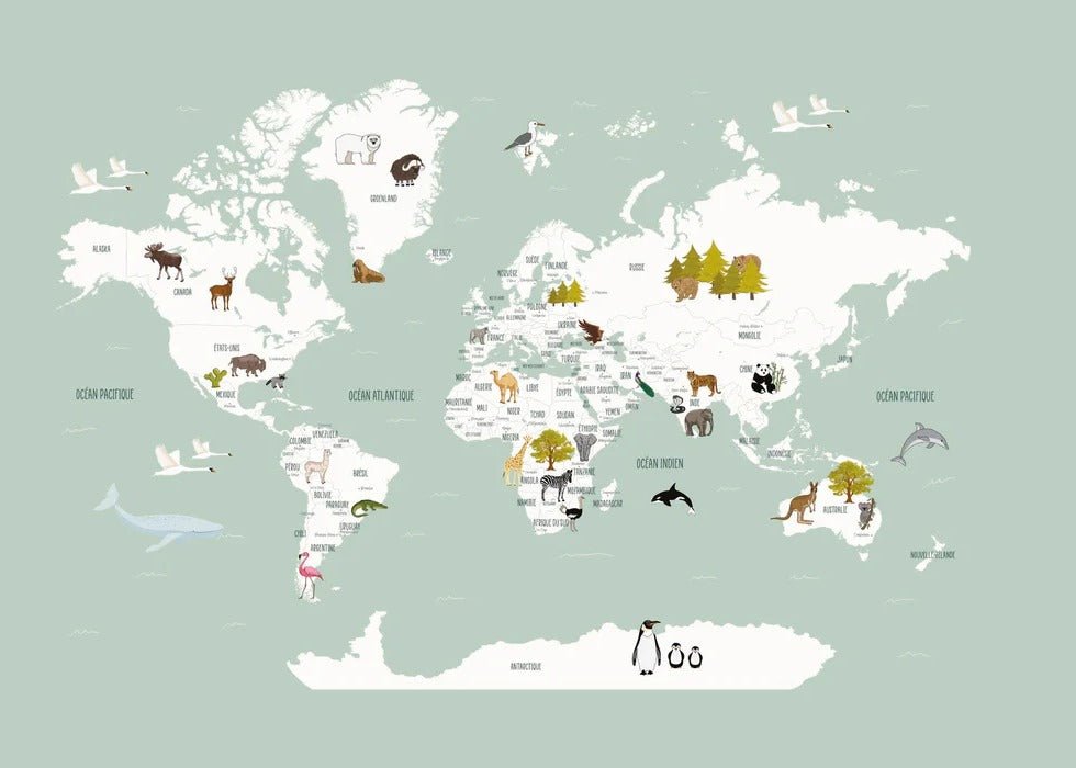 Papier peint Carte du monde en Francais enfant vert