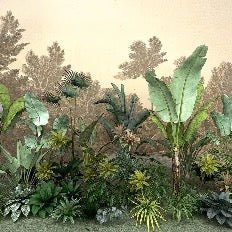 Papier peint Jungle tendance indonésia, XXL, tendance