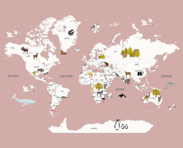 Papier peint Carte du monde en Francais enfant vieux rose