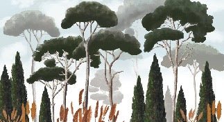 Custom wallpaper cypress pine and pampas grass