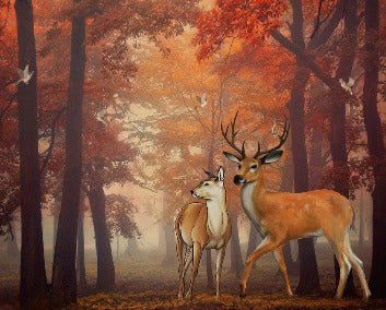 Papier peint Forêt couleur d'automne & Cerfs