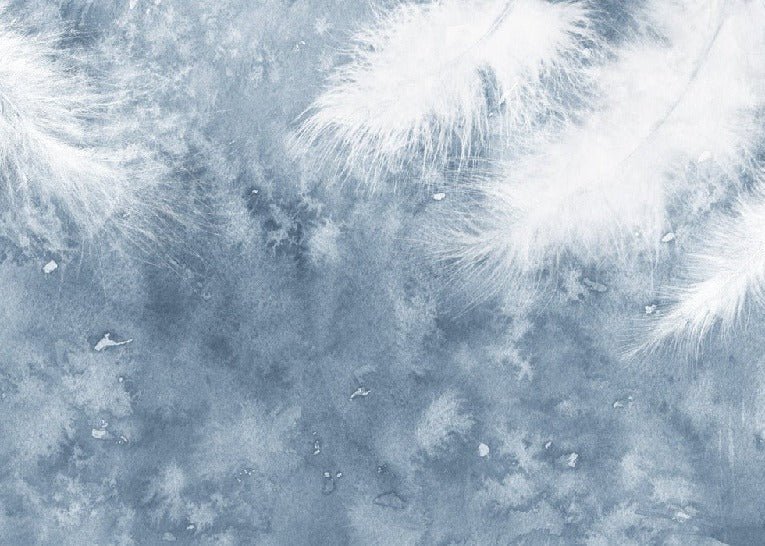 Papier peint Plume Blanche