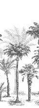 Papier peint Jungle Black & White