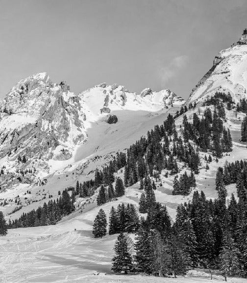 Papier peint panoramique chalet alpage