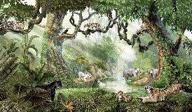 Papier peint enfant jungle secrète