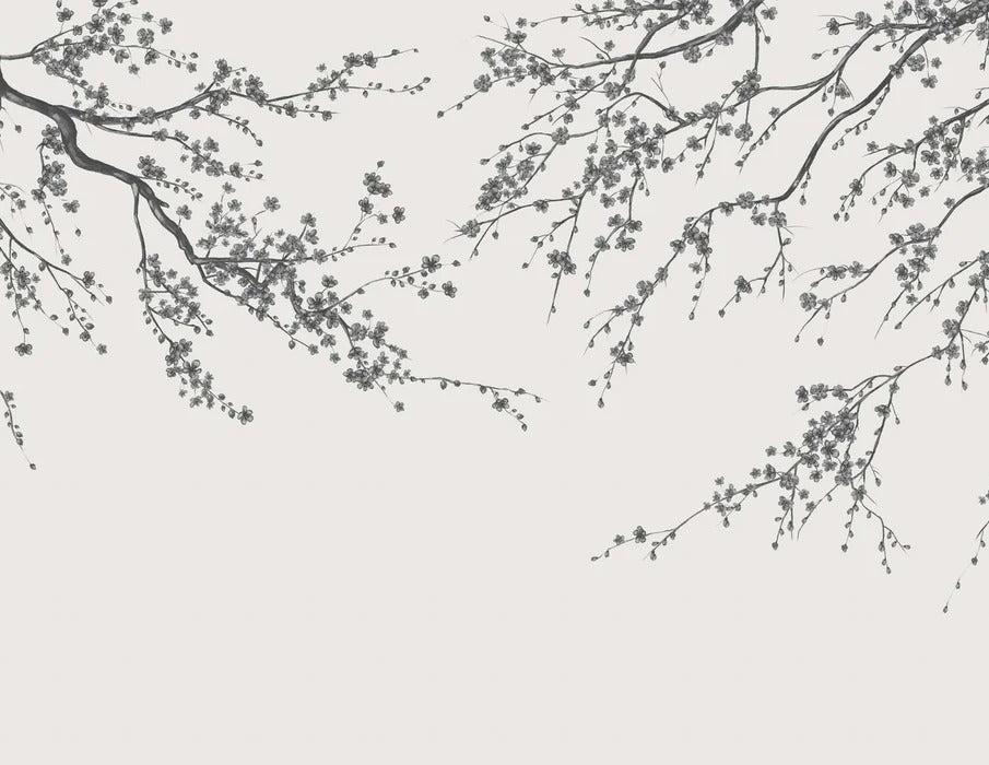 Papier peint panoramique fleur Sakura noir et blanc