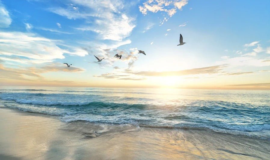 Papier peint Plage Paradisiaque, XXL, tendance