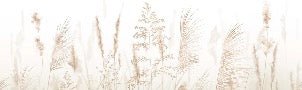 Wheat field flower wallpaper