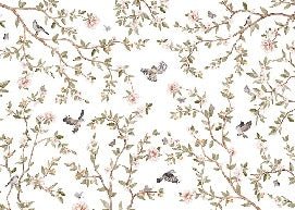 Papier peint oiseau chambre enfant