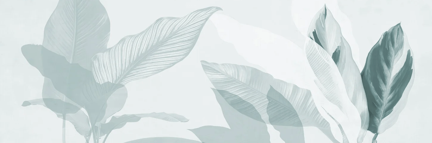 Papier peint feuillage moderne vert d'eau, XXL, tendance