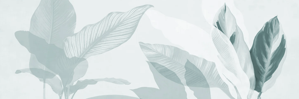 Papier peint feuillage moderne vert d'eau