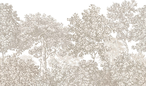 Papier peint paysage forêt gravure beige