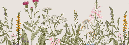 Papier peint fleur botanique folk romantique