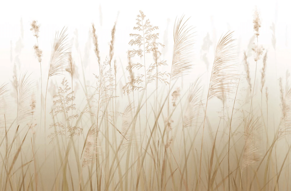 Papier peint fleur des champs de blé, XXL, tendance