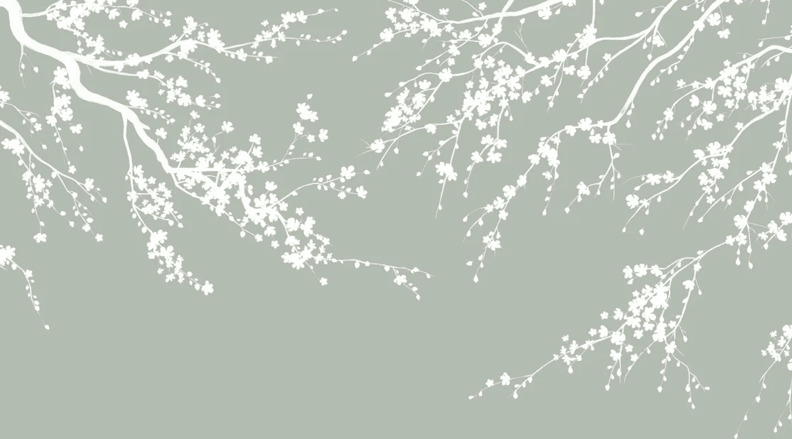 Papier peint panoramique Sakura vert sauge - Muralconcept