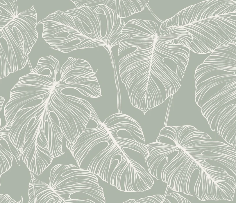 Papier peint feuille monstera sauge