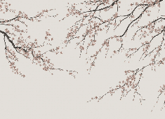 Papier peint panoramique Sakura beige - Muralconcept