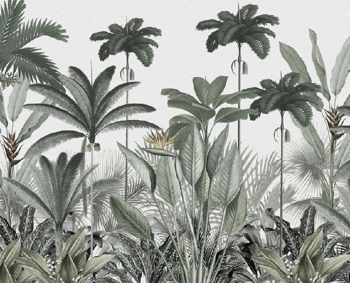 Panoramic jungle tree wallpaper