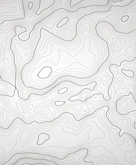 Papier peint ligne topographique - Noir et blanc - Muralconcept