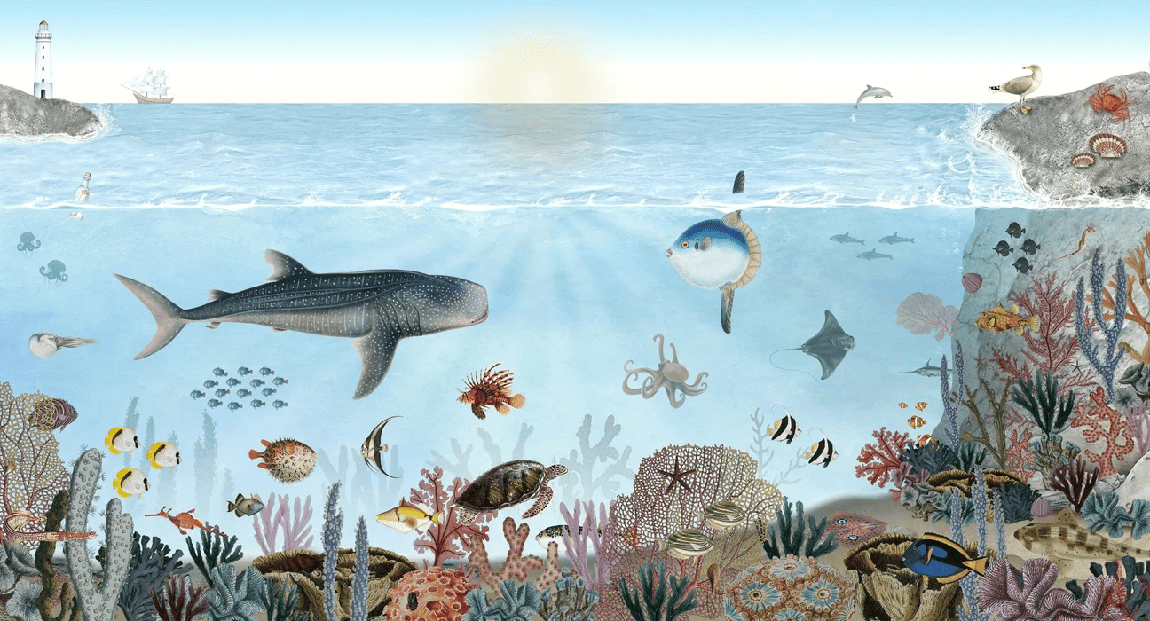 Papier peint animaux marins, XXL, tendance