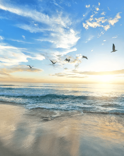 Papier peint Plage Paradisiaque - Muralconcept