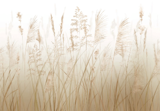 Papier peint fleur des champs de blé, XXL, tendance