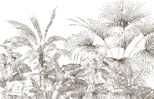 Papier peint tropical gravure monochrome - Muralconcept