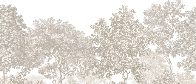 Papier peint paysage forêt gravure beige - Muralconcept