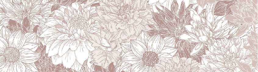 Papier peint fleur Dahlia - Muralconcept