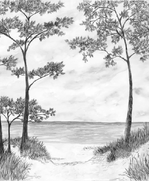Papier peint Pins maritimes et dunes - Noir et blanc - Muralconcept