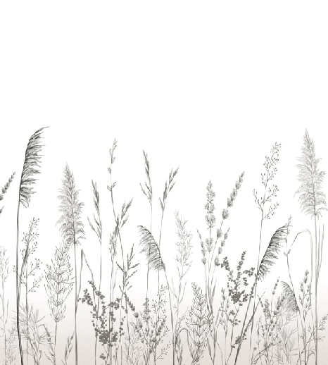 Papier peint poétique pampa, XXL, tendance