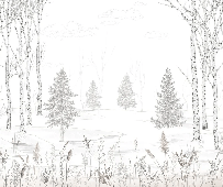 Papier peint forêt noir et blanc – Douceur des Bois