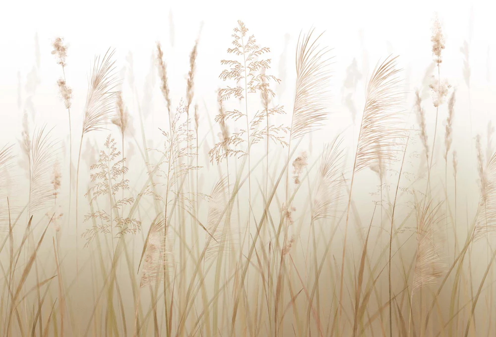 Papier peint fleur des champs de blé
