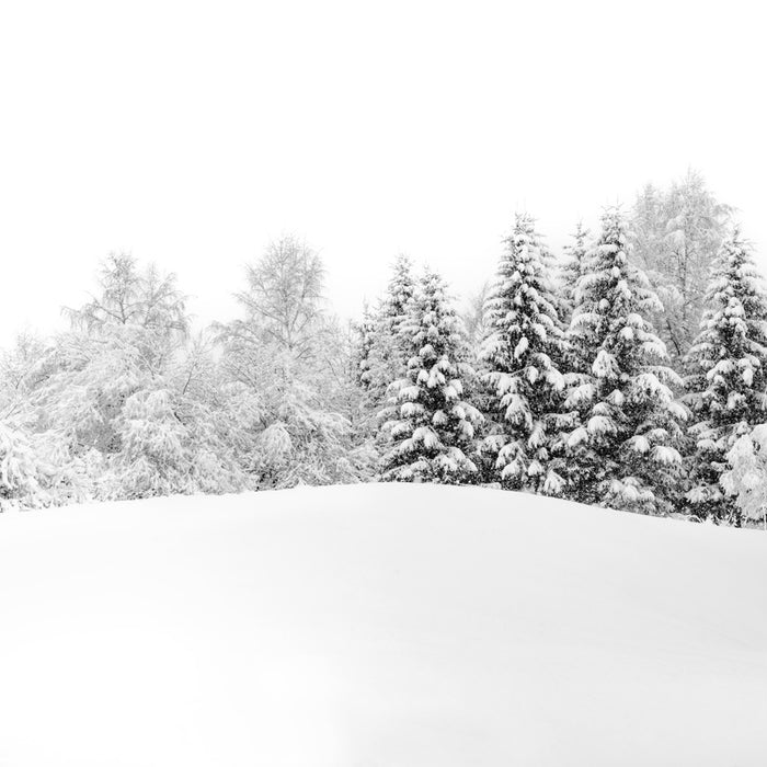 Papier peint panoramique évasion hivernale - Muralconcept